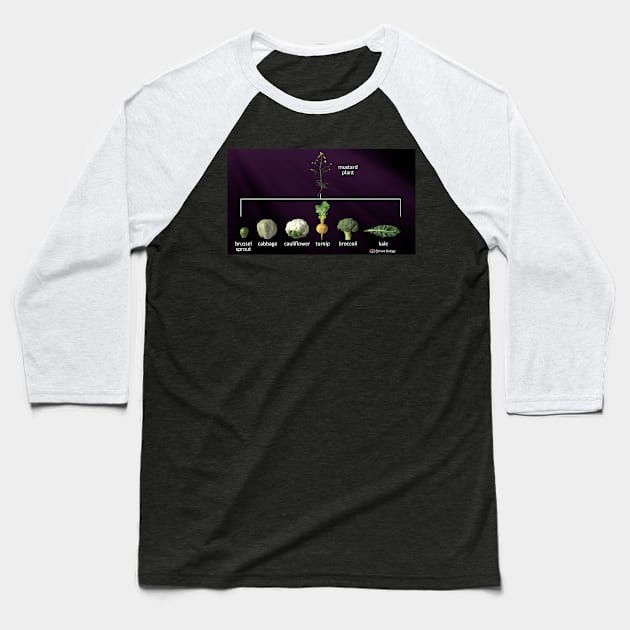 Artificial Selection Baseball T-Shirt by Smart Biology